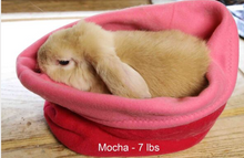 Load image into Gallery viewer, Cuddle pods